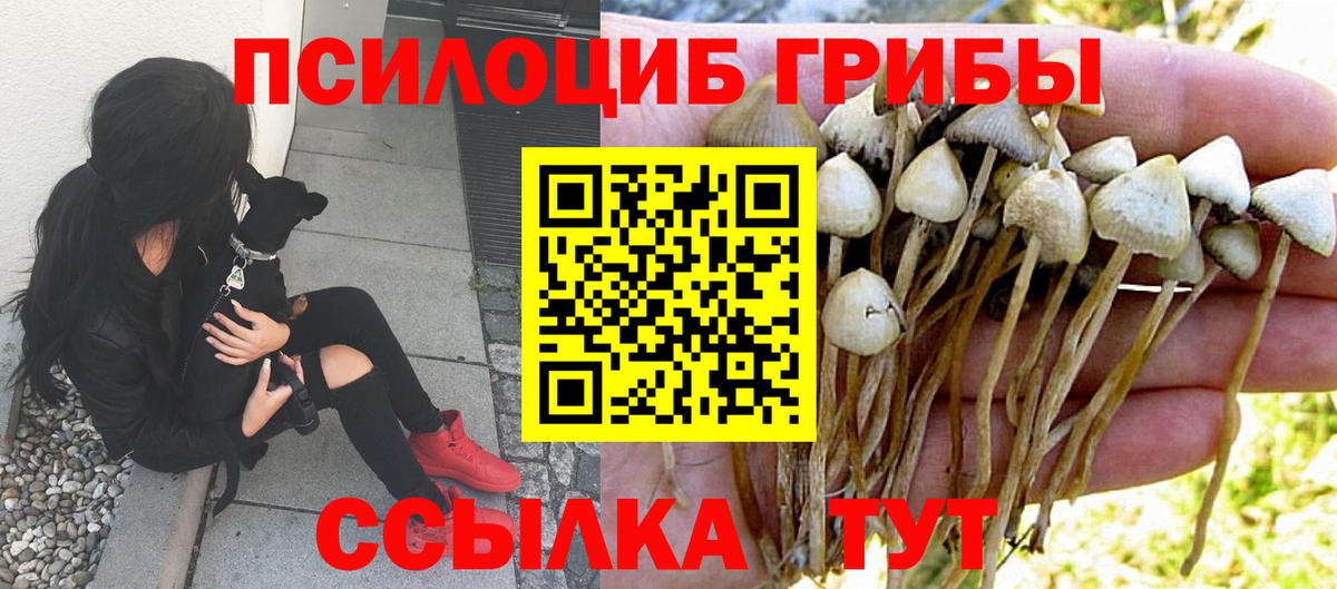 Псилоцибиновые грибы Psilocybine cubensis Беслан